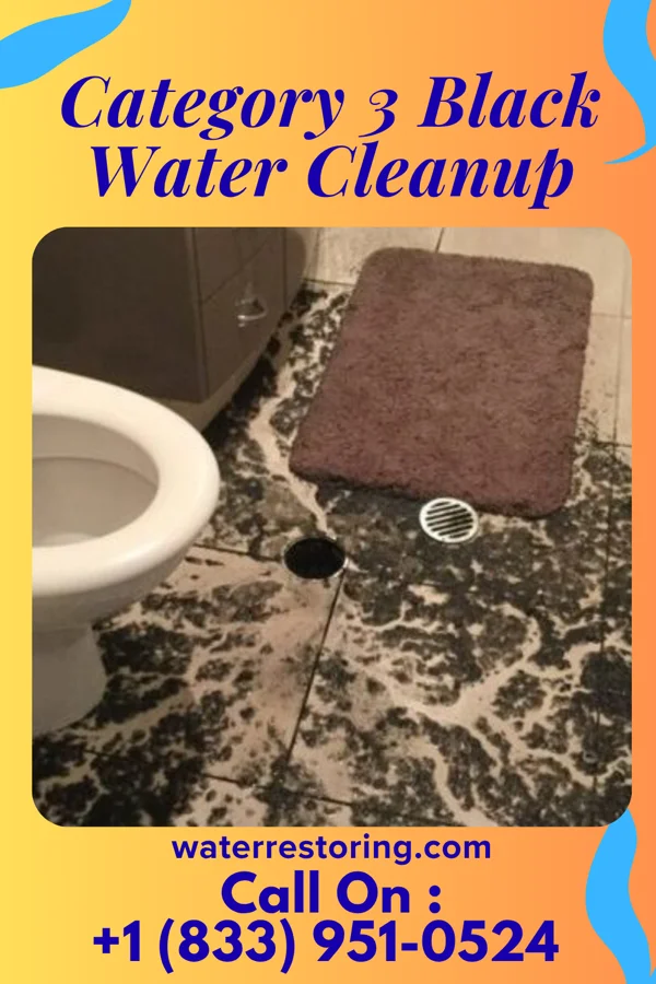 Category 3 Black Water Cleanup in Greenfield, OH
