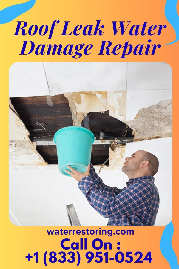 Roof Leak Water Damage Repair in Greenfield, OH