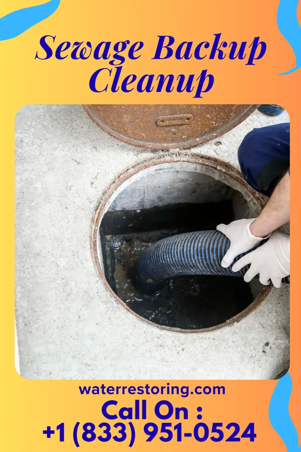 Sewage Backup Cleanup in Greenfield, OH